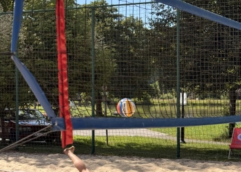 256