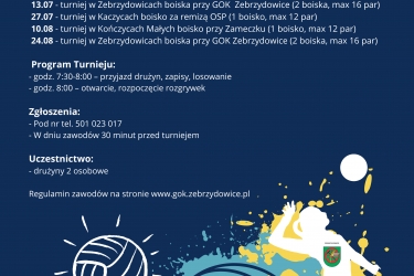 Turniej Piłki Siatkowej Plażowej  o Puchar Wójta Gminy Zebrzydowice 2025 (Regulamin)