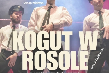 Kogut w rosole