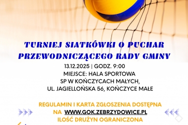 Turniej Siatkówki o Puchar Przewodniczącego Rady Gminy Zebrzydowice