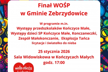 Finał WOŚP w Gminie Zebrzydowice