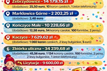 Finał WOŚP w Gminie Zebrzydowice — podsumowanie